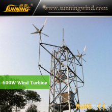 Protable Camping Wind Turbine Generator para sistema de energía solar eólica (MAX 600W)